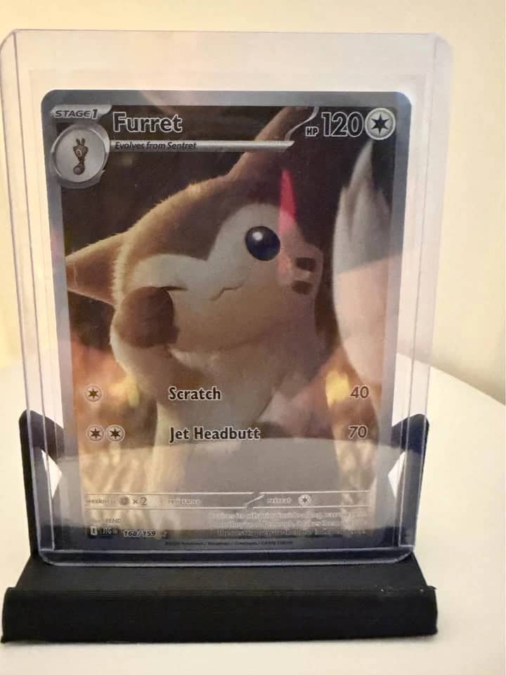 Furret